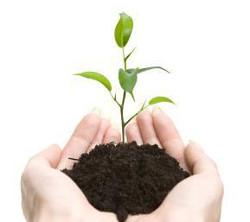 Environment Philosophy